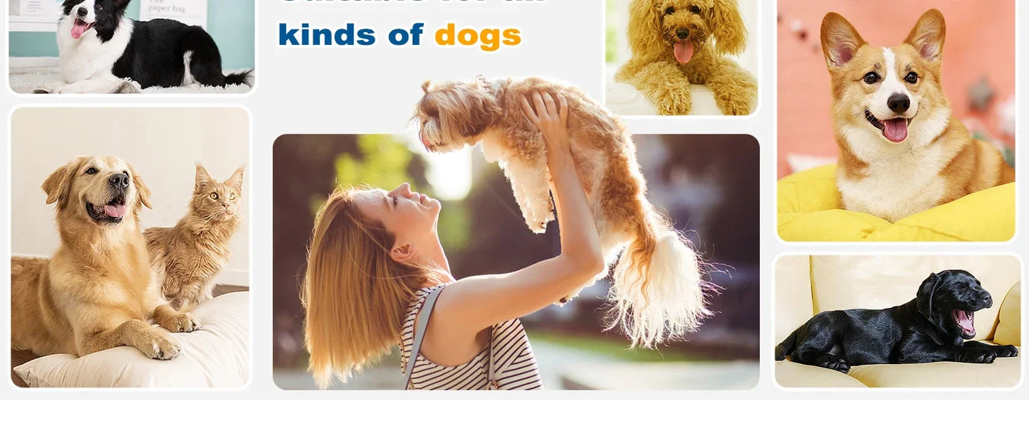 Dog Grooming Kit for Pet Include 4 Hair Clipper