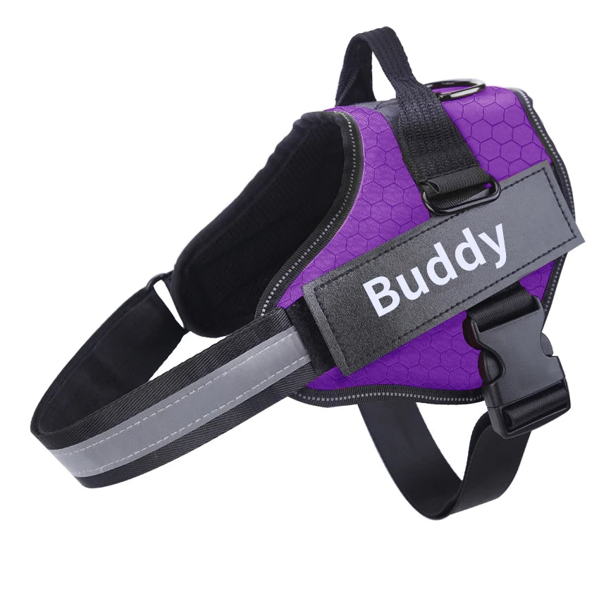 Personalized Dog Harness