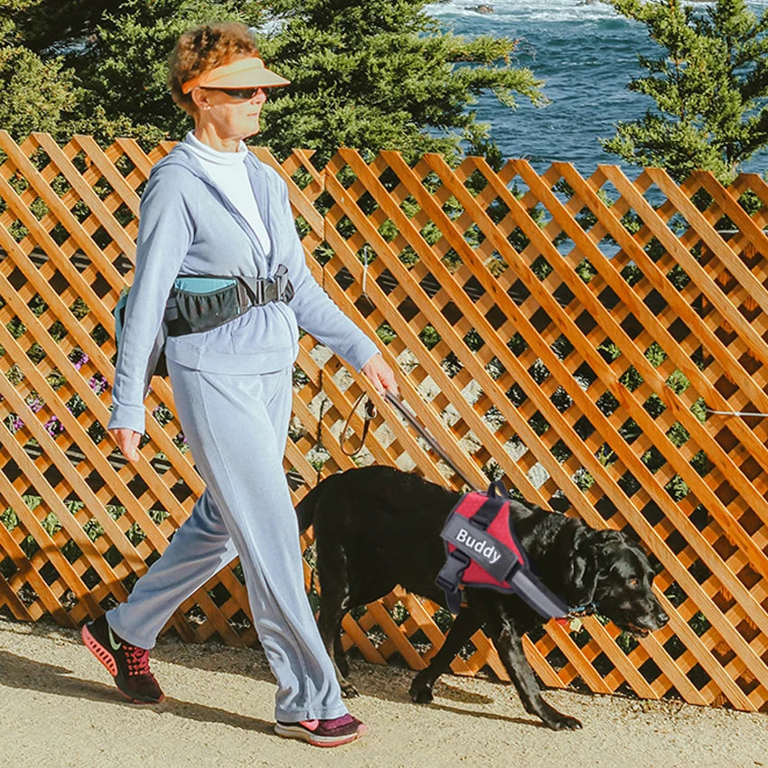 Personalized Dog Harness