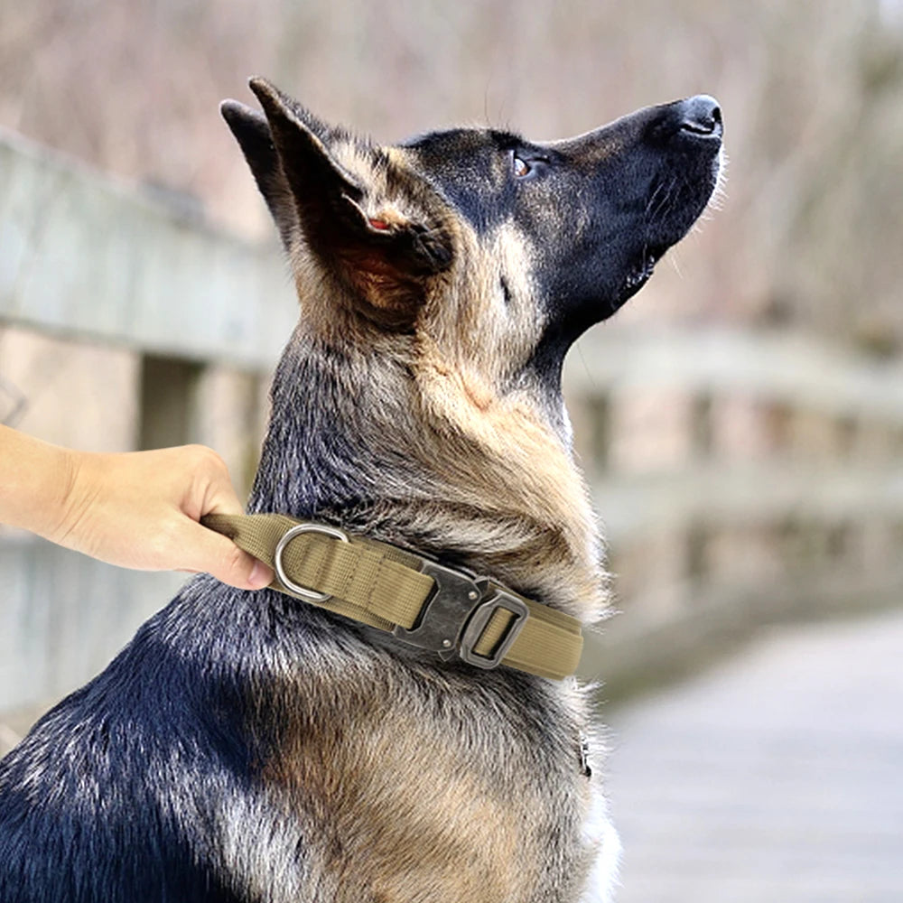 Durable Tactical Dog Collar and Leash