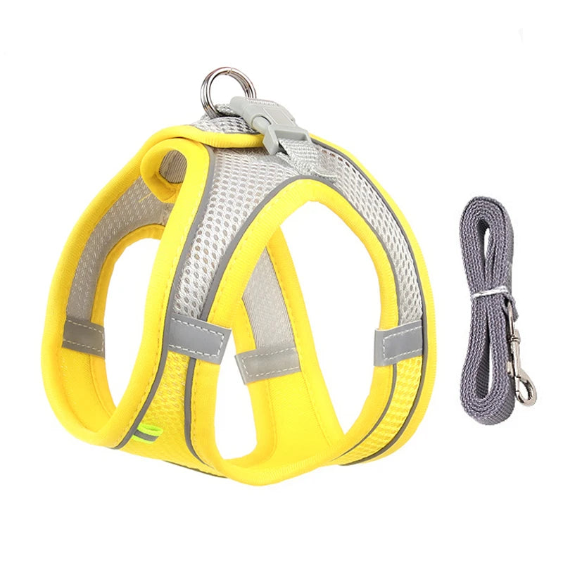 small dogs harness
