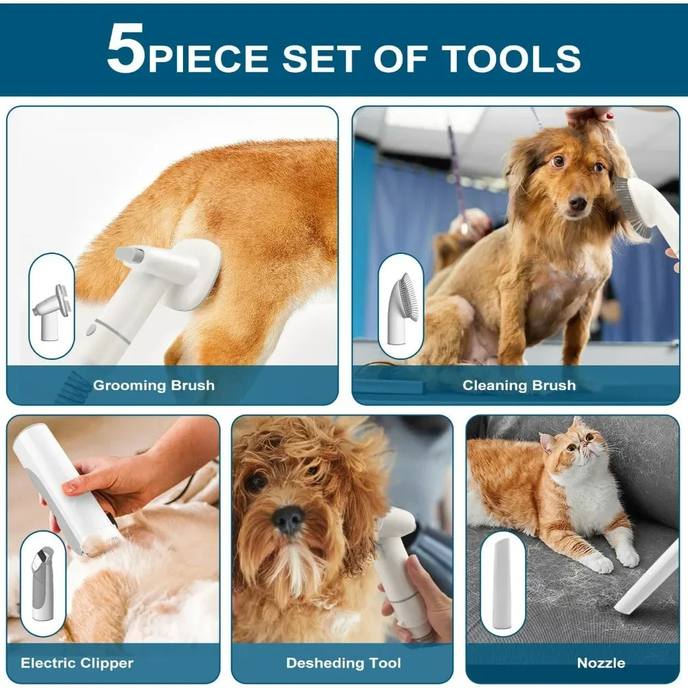 Dog Grooming Kit for Pet Include 4 Hair Clipper