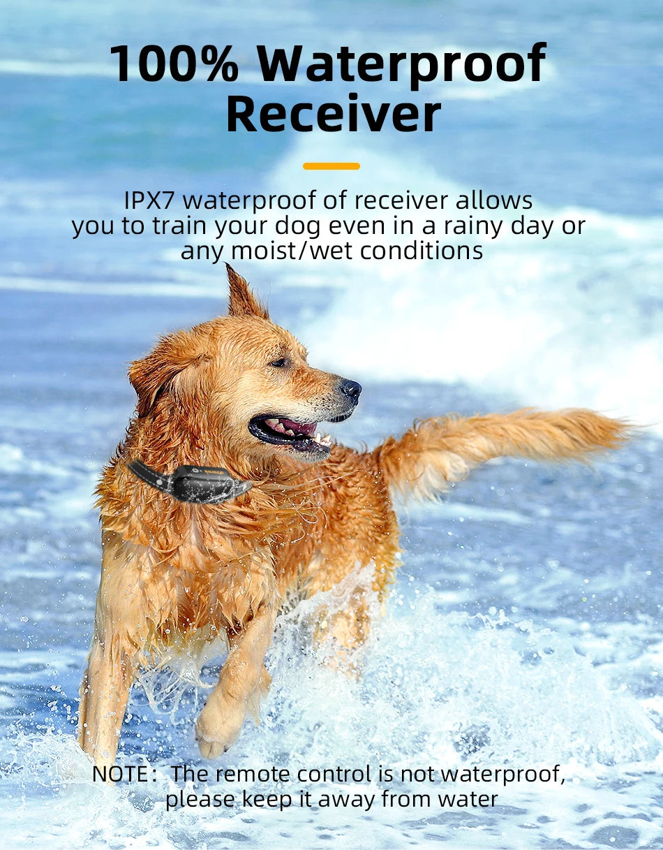 ROJECO Electric Dog Training Collar Digital