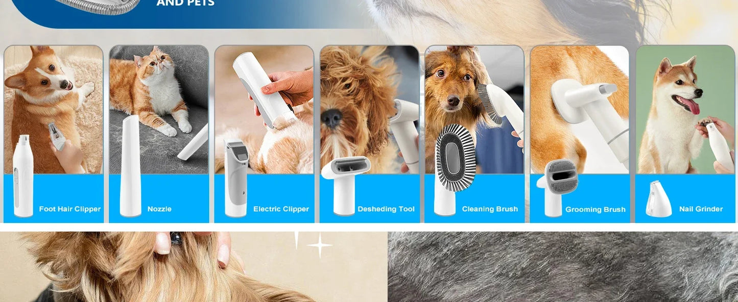 Dog Grooming Kit for Pet Include 4 Hair Clipper