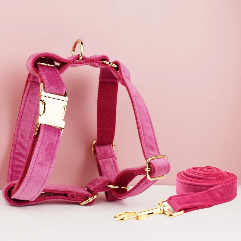 Heavy Duty Dog Harness