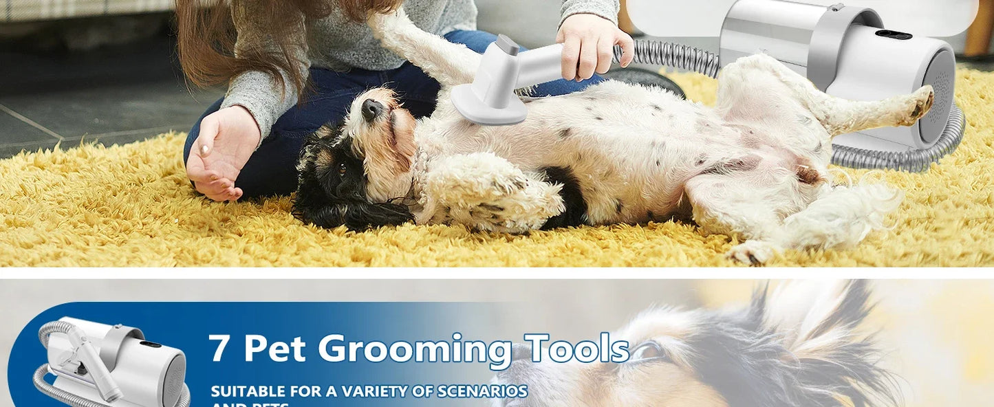 Dog Grooming Kit for Pet Include 4 Hair Clipper