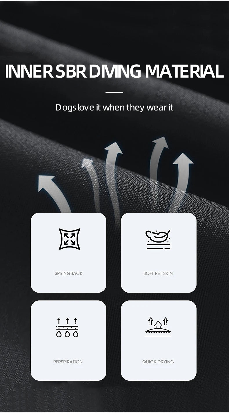 Dog Leash Chest and Back Pet