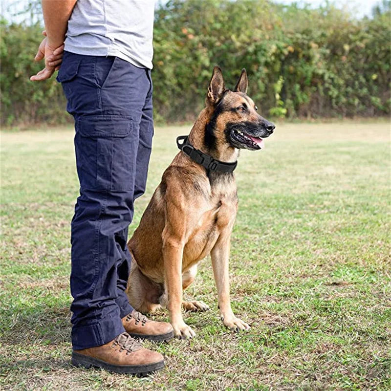 Durable Tactical Dog Collar and Leash