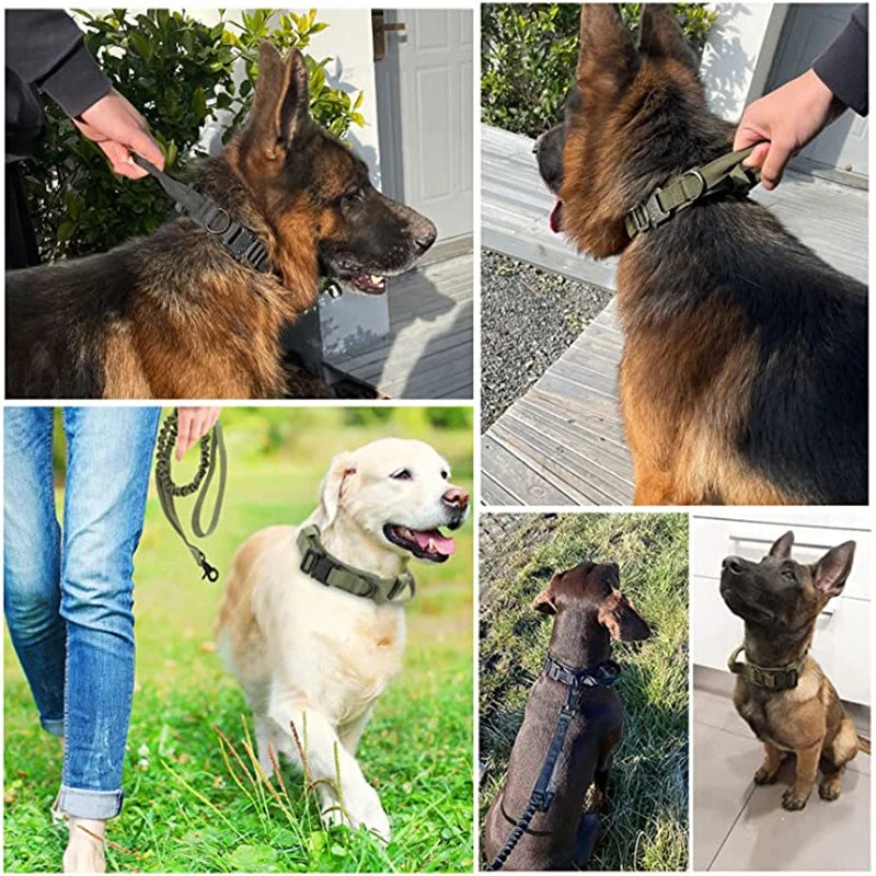 Durable Tactical Dog Collar and Leash