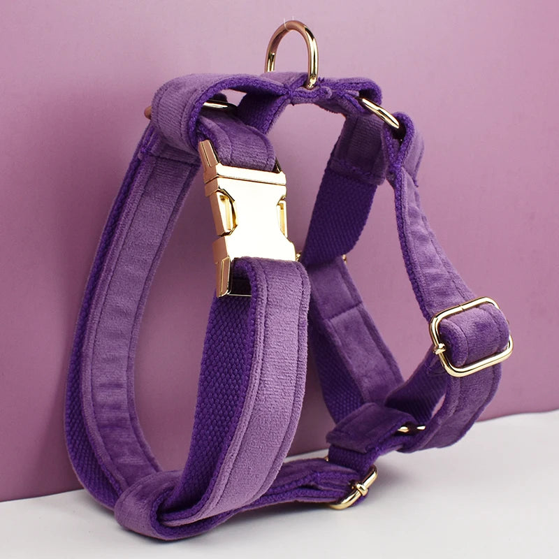 Heavy Duty Dog Harness