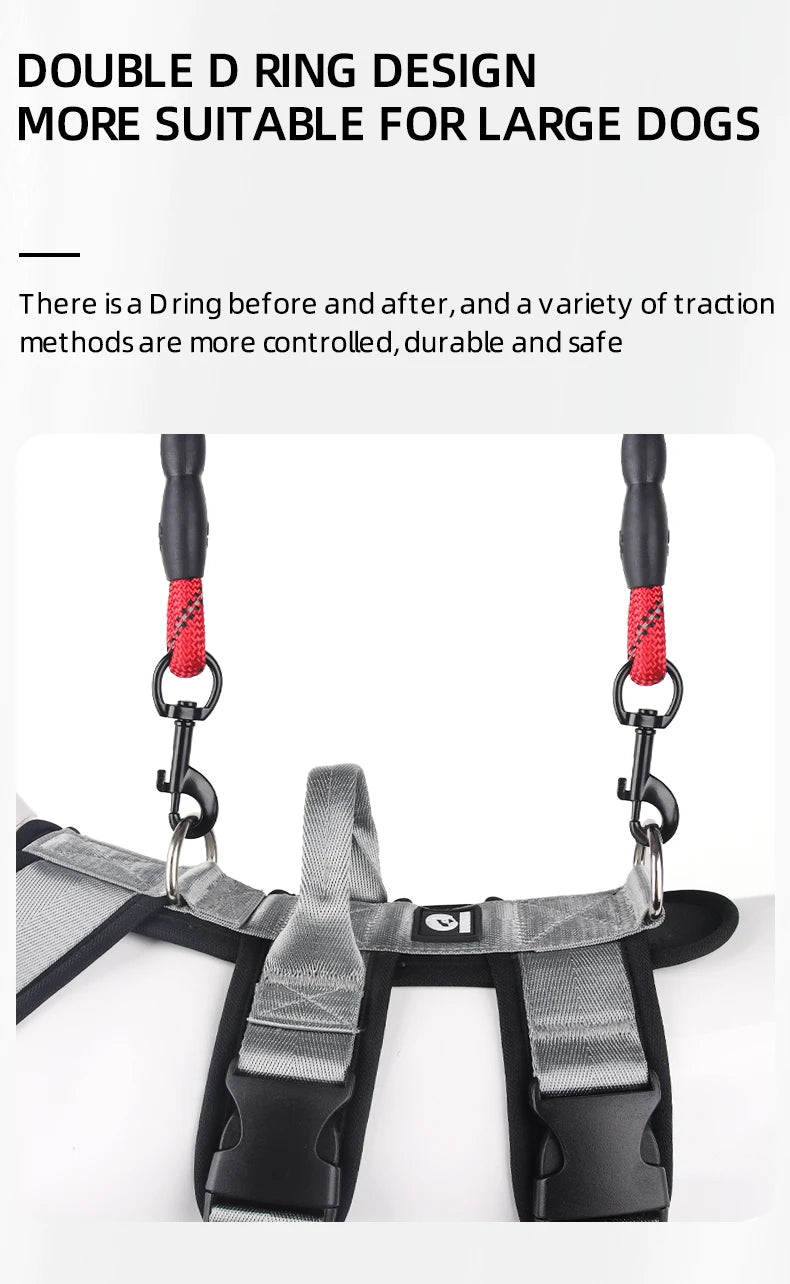 Dog Leash Chest and Back Pet