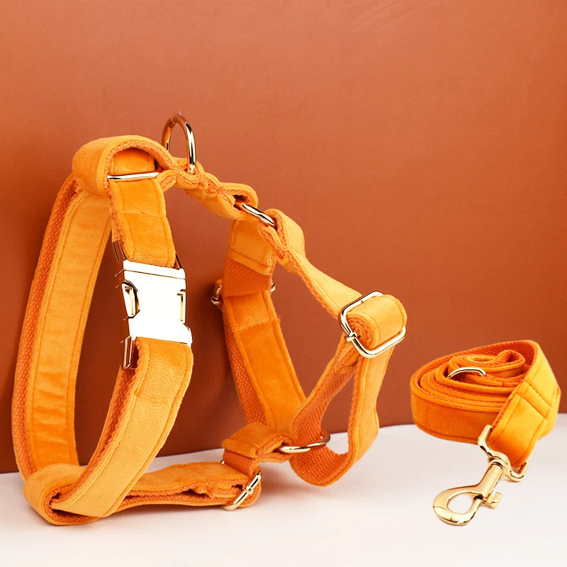 Heavy Duty Dog Harness