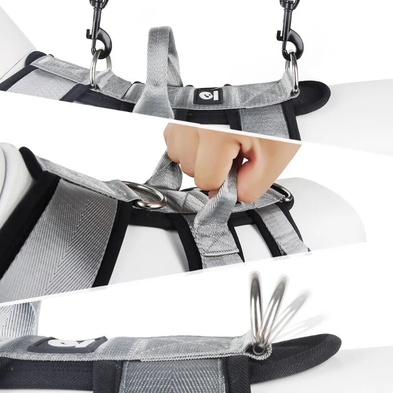 Dog Leash Chest and Back Pet