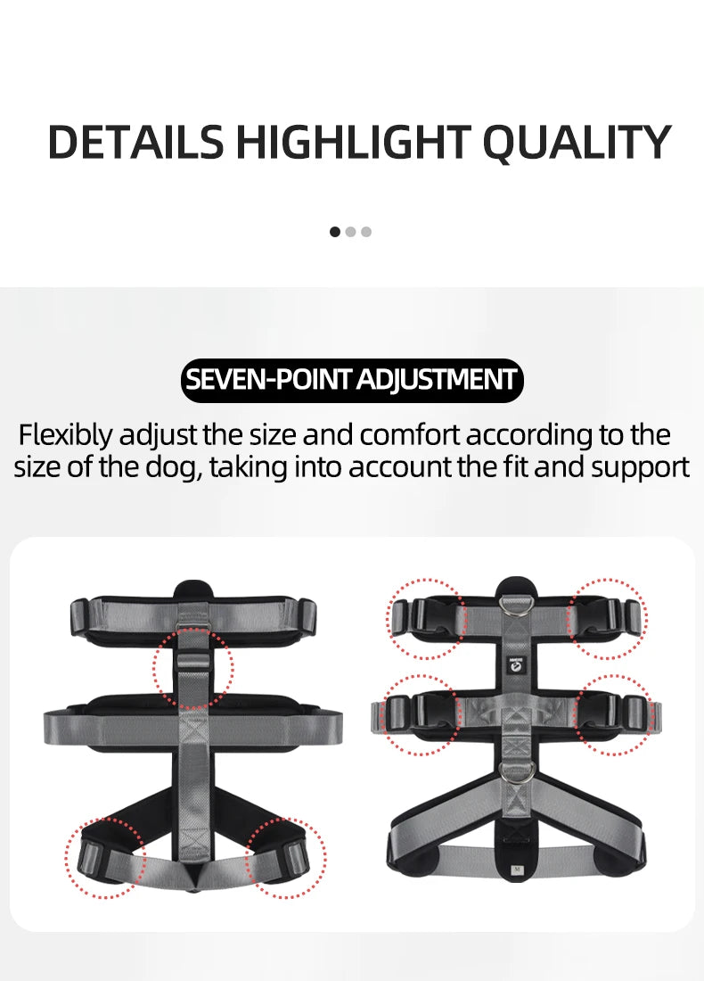 Dog Leash Chest and Back Pet