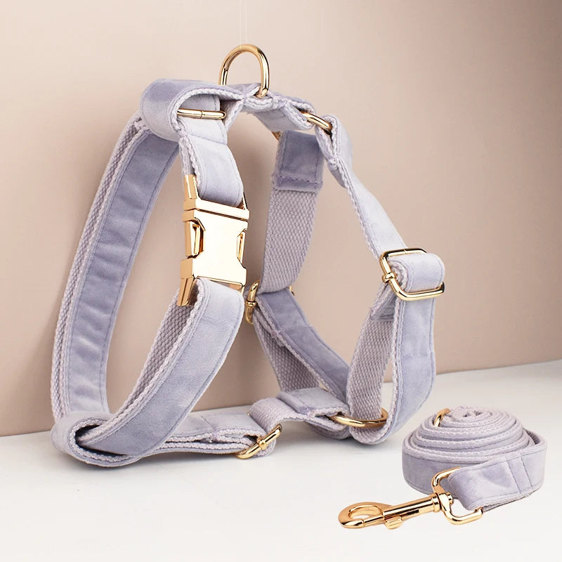 Heavy Duty Dog Harness