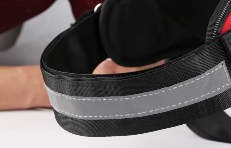 Personalized Dog Harness Reflective