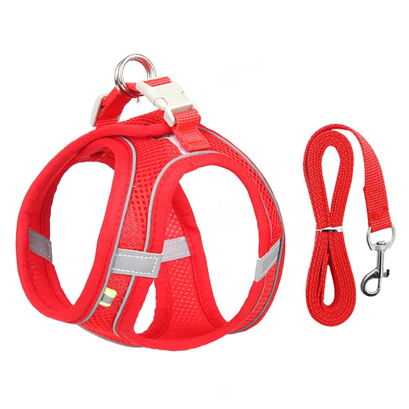 small dogs harness