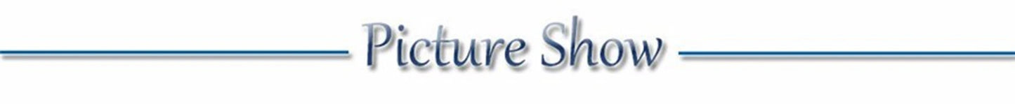 Durable Tactical Dog Collar and Leash