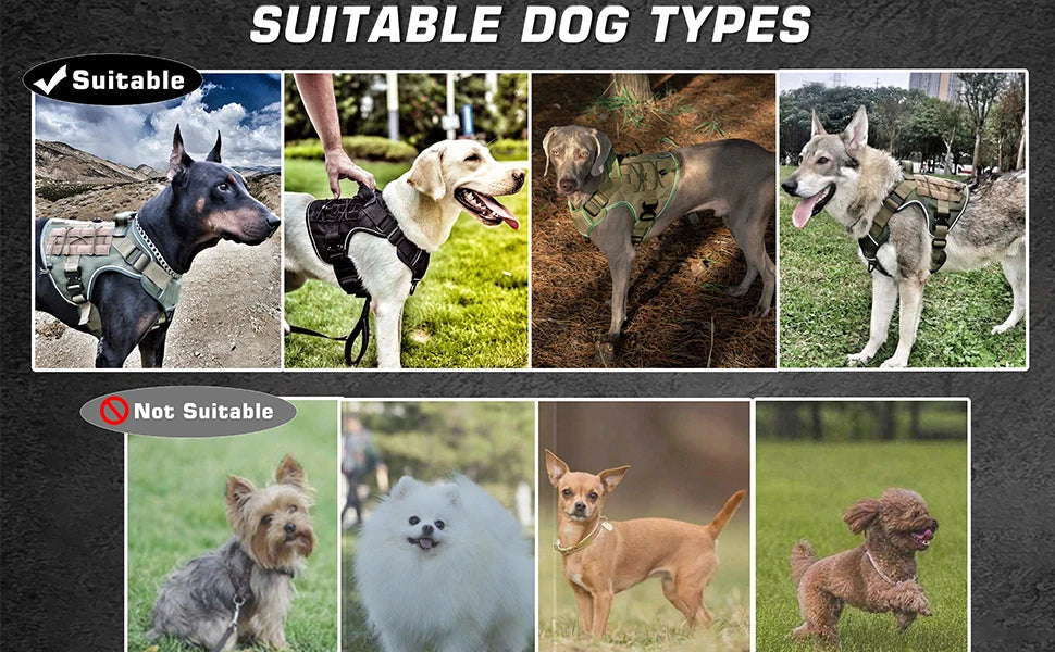 Tactical Dog Harness