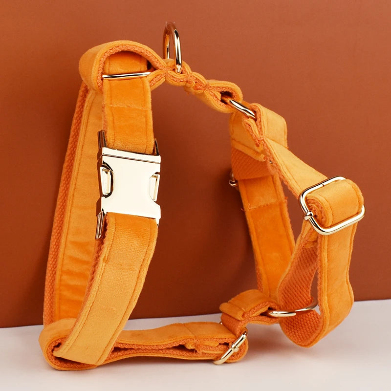 Heavy Duty Dog Harness