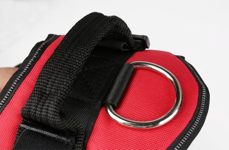 Personalized Dog Harness Reflective