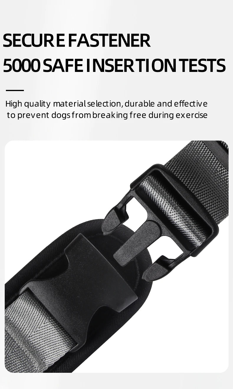 Dog Leash Chest and Back Pet