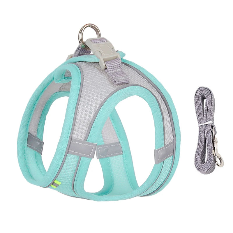 small dogs harness