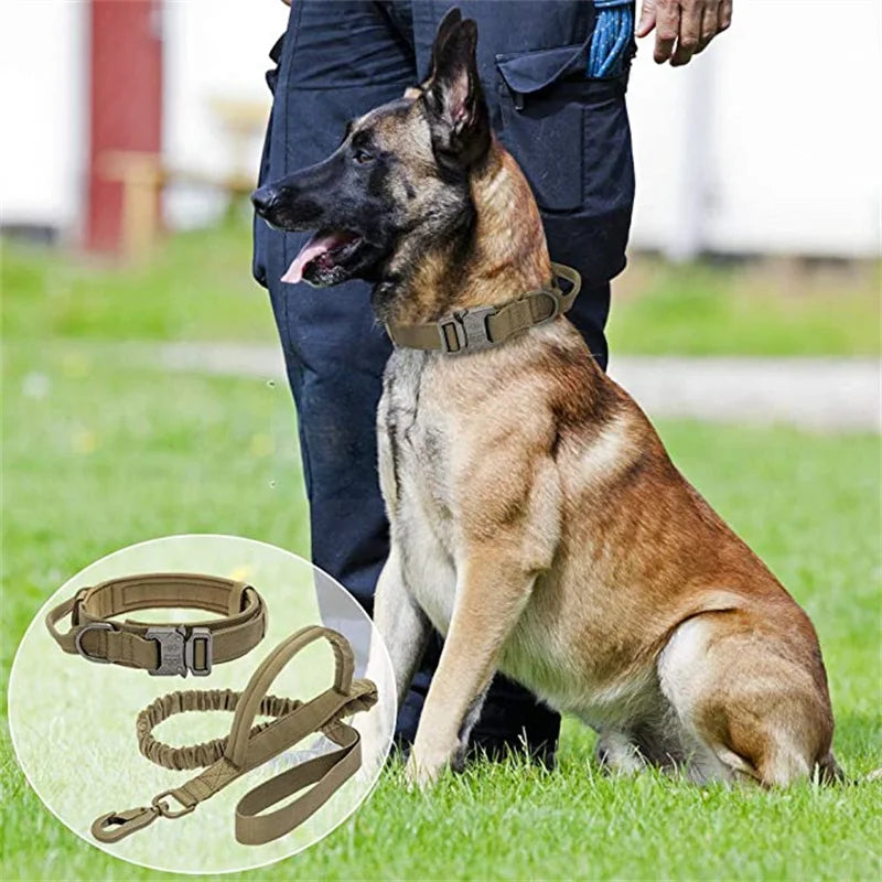 Durable Tactical Dog Collar and Leash