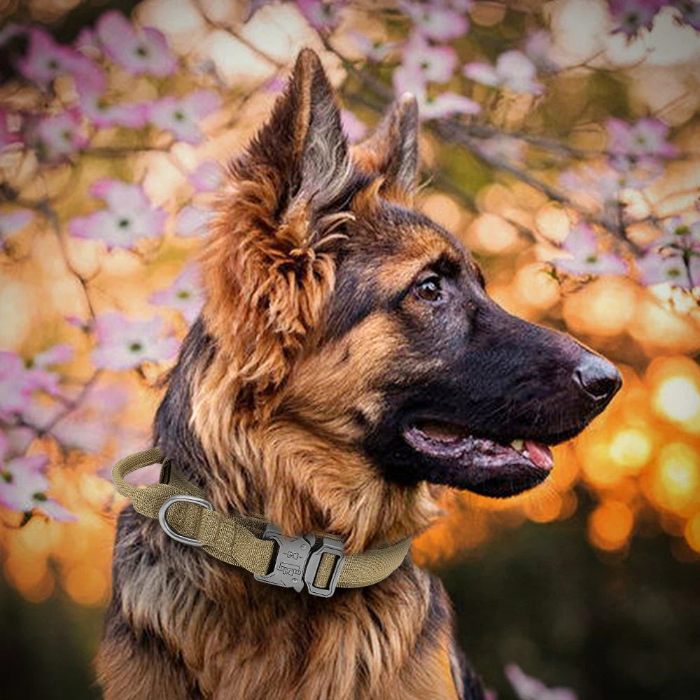 Durable Tactical Dog Collar and Leash