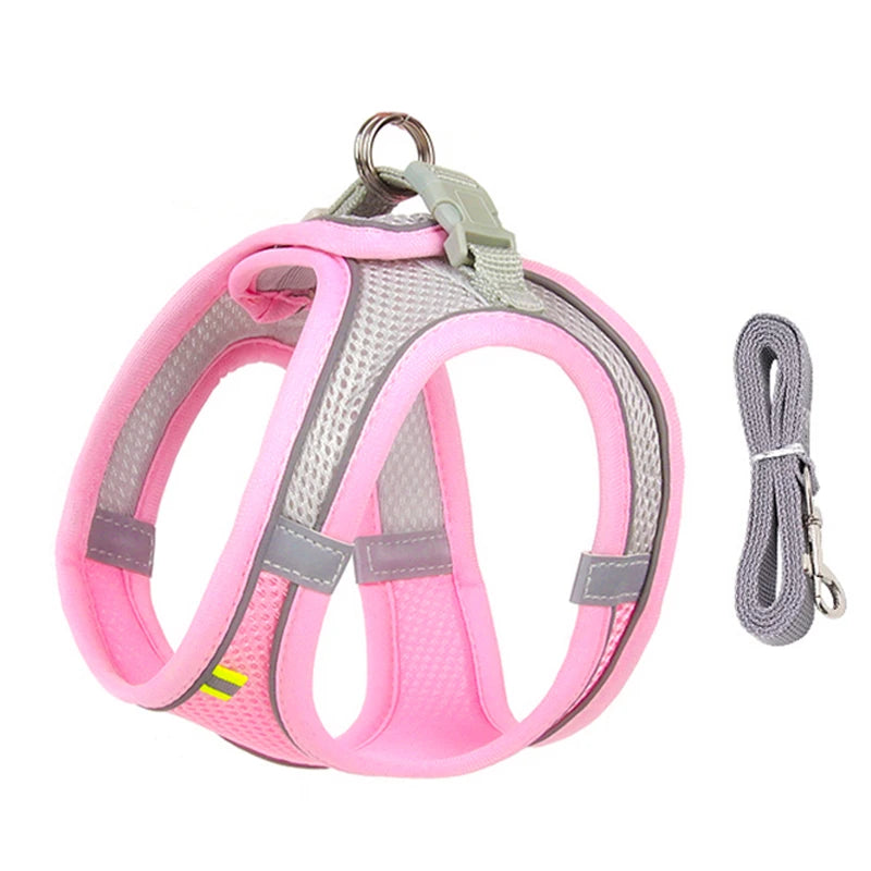 small dogs harness