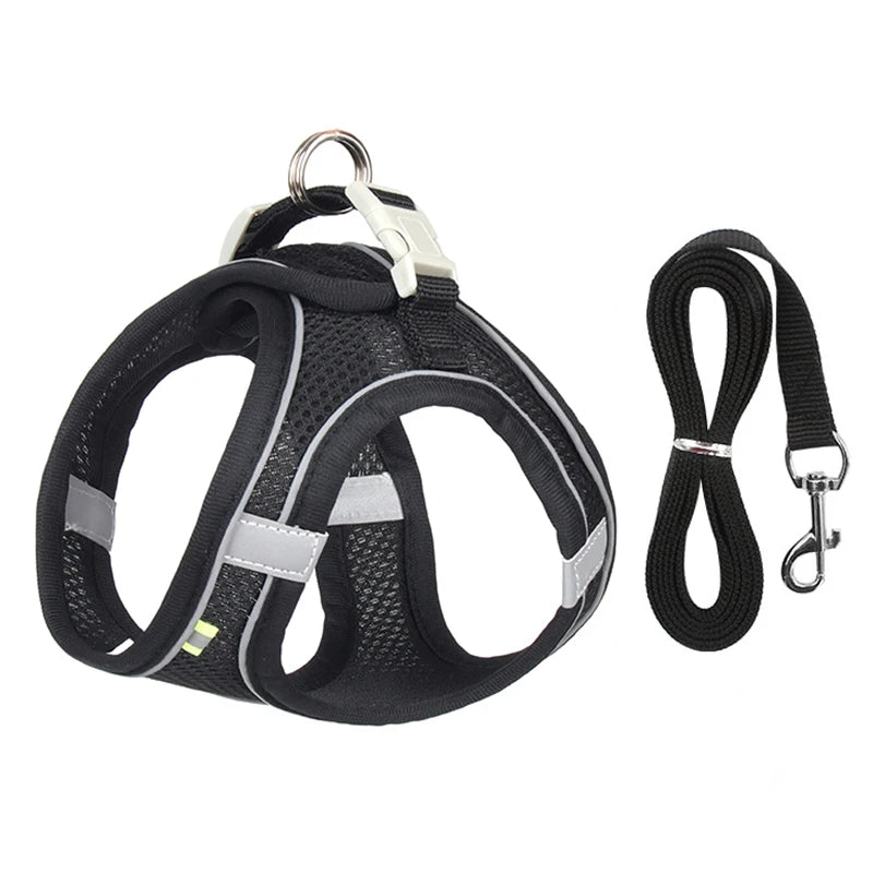 small dogs harness