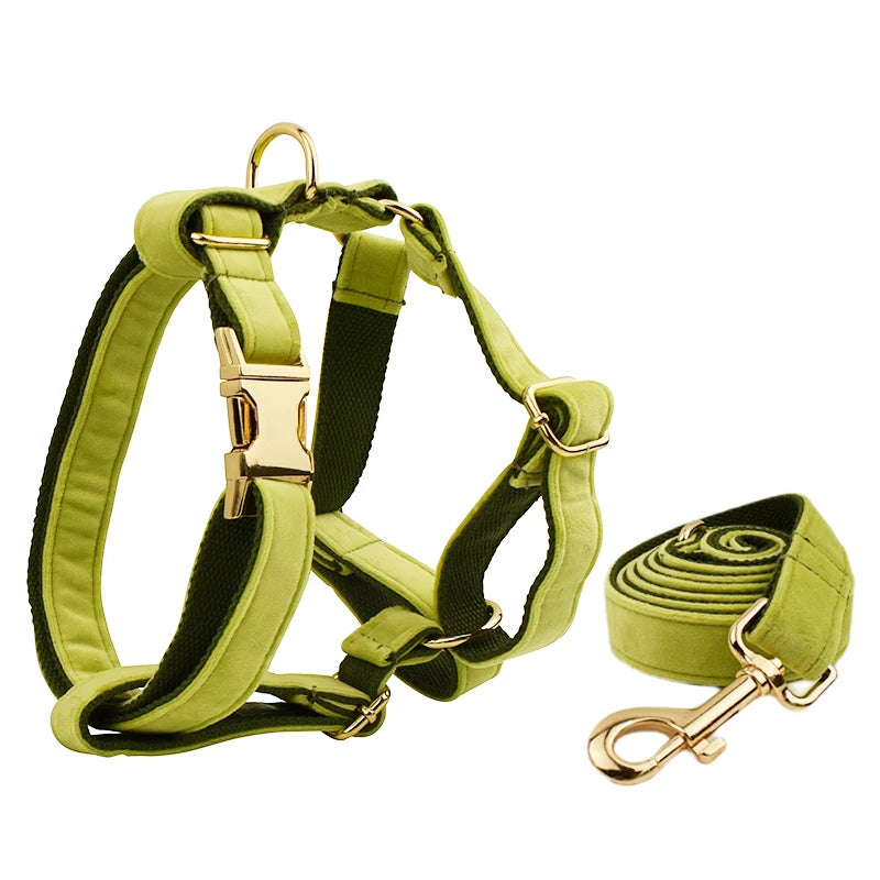 Heavy Duty Dog Harness