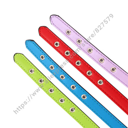 Durable Pet Collar