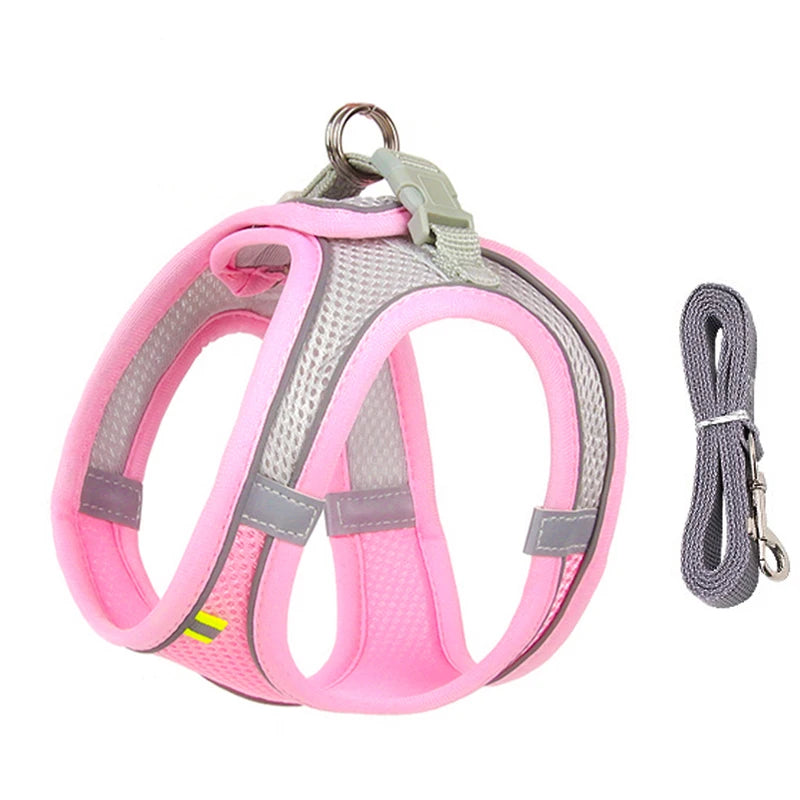small dogs harness