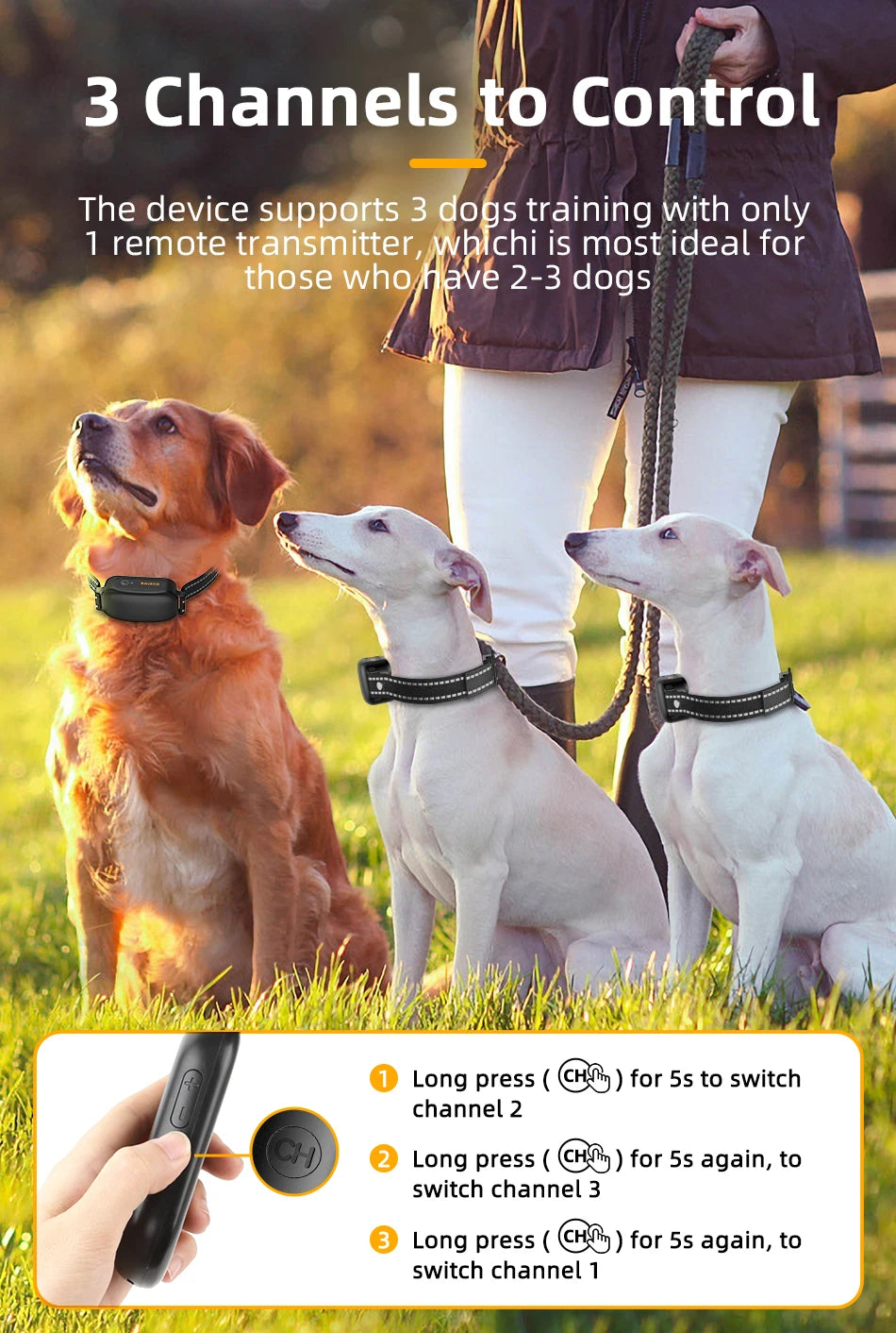 ROJECO Electric Dog Training Collar Digital