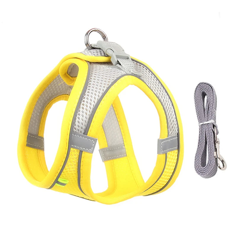 small dogs harness