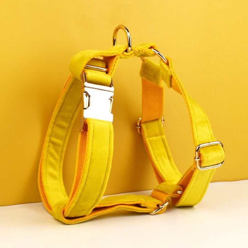 Heavy Duty Dog Harness