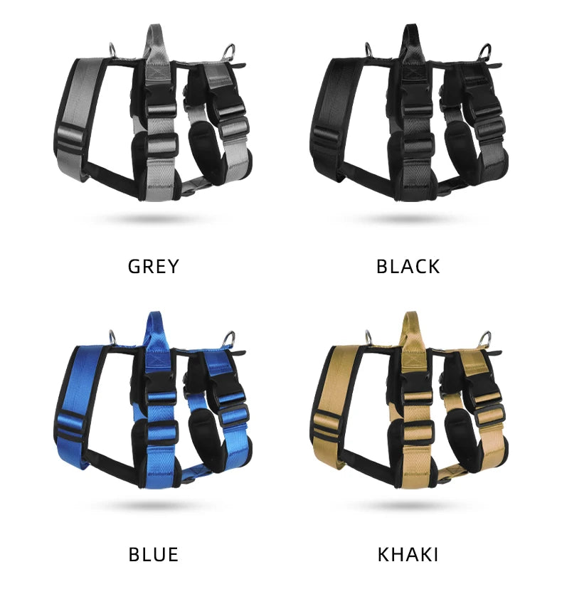 Dog Leash Chest and Back Pet