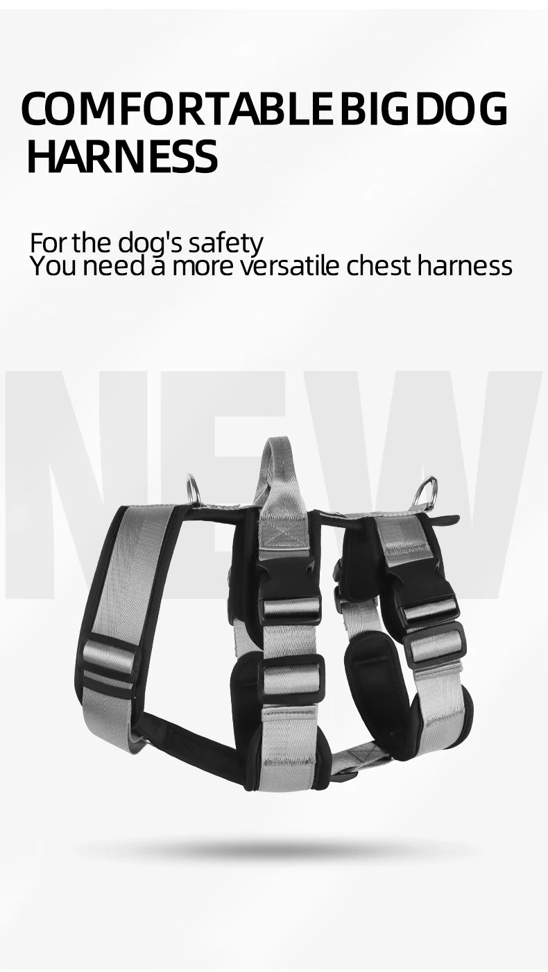 Dog Leash Chest and Back Pet