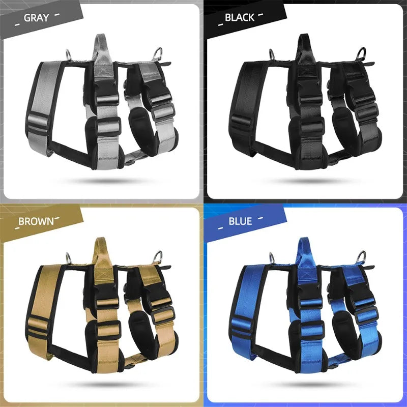 Dog Leash Chest and Back Pet