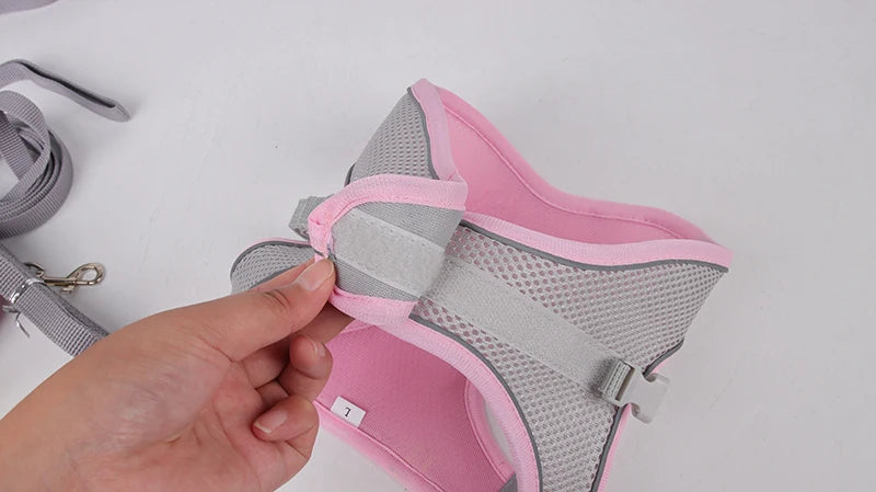 small dogs harness