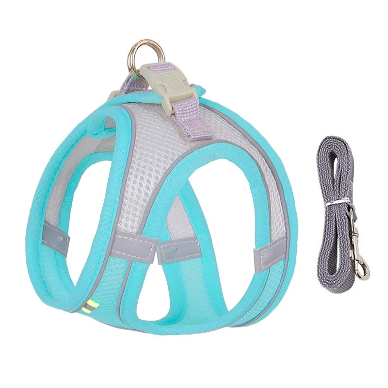 small dogs harness