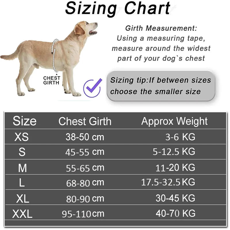 Personalized Dog Harness Reflective